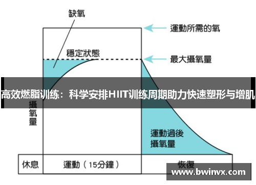 高效燃脂训练：科学安排HIIT训练周期助力快速塑形与增肌